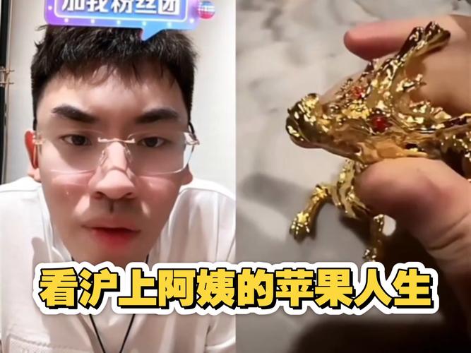 若倒插门富婆家庭会如何？KD：我尽量避免打扰她家人 保持边界感